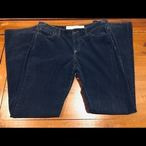 Ann Taylor Loft Corduroys. Navy.